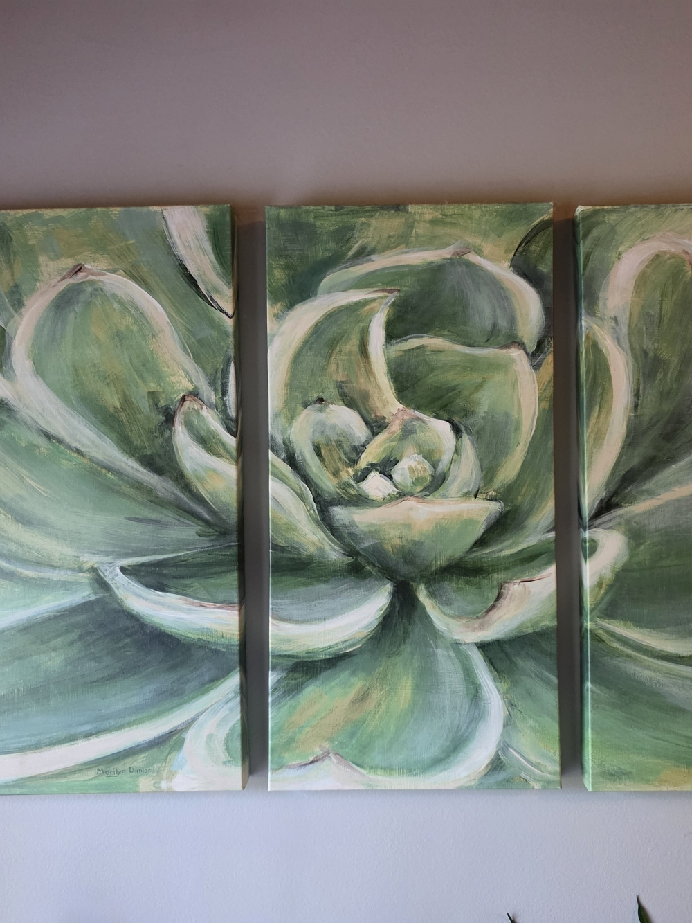 Green Succulent Triptych Canvas Wall Art by